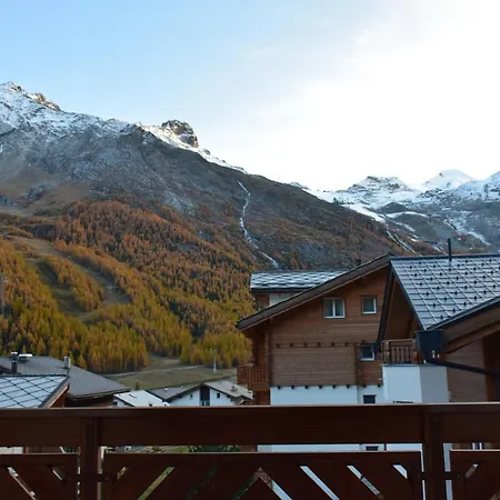 Flamingo * Saas-Fee