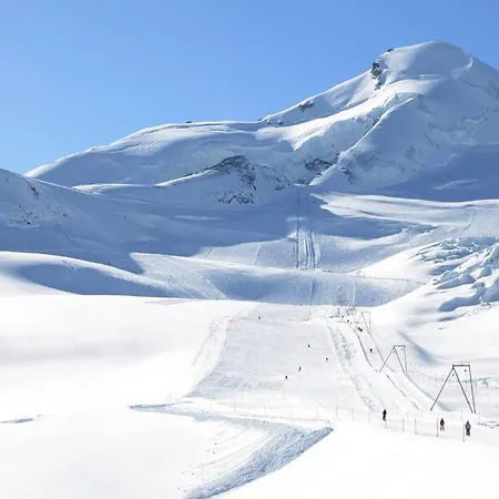 Flamingo * Saas-Fee