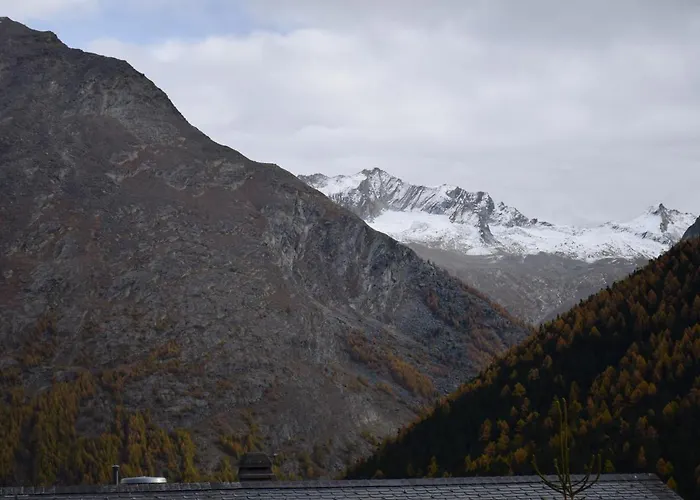 Apartment Flamingo *